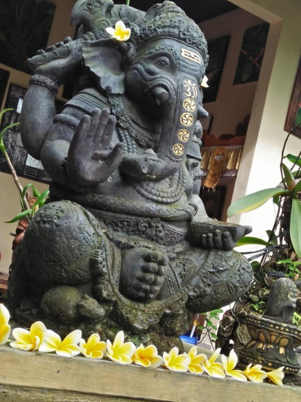 Lionk Bali House Bed and Breakfast Ubud Eksteriør billede